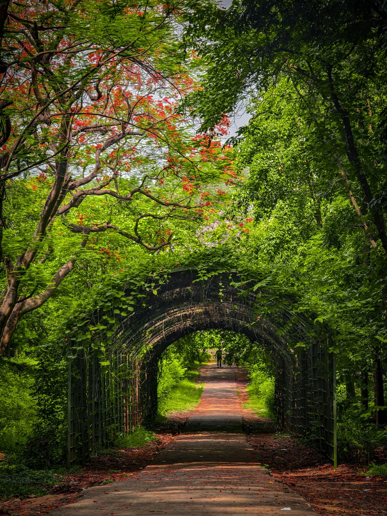 Historias de éxito: Inspiración para tu camino